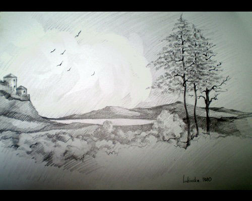 Study