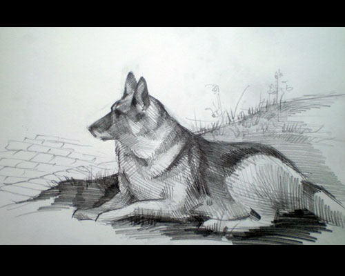 Study