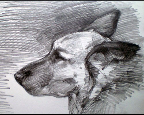 Study